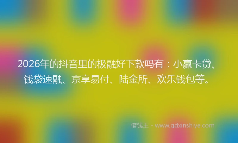 2026年的抖音里的极融好下款吗有：小赢卡贷、钱袋速融、京享易付、陆金所、欢乐钱包等。