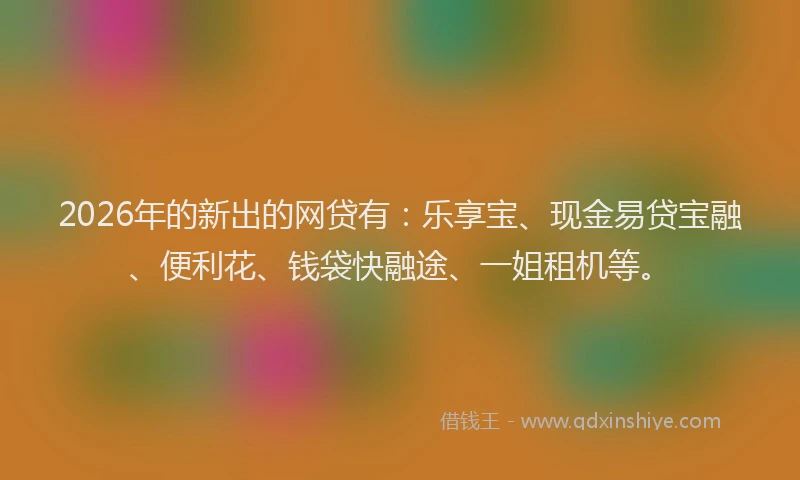 2026年的新出的网贷有：乐享宝、现金易贷宝融、便利花、钱袋快融途、一姐租机等。