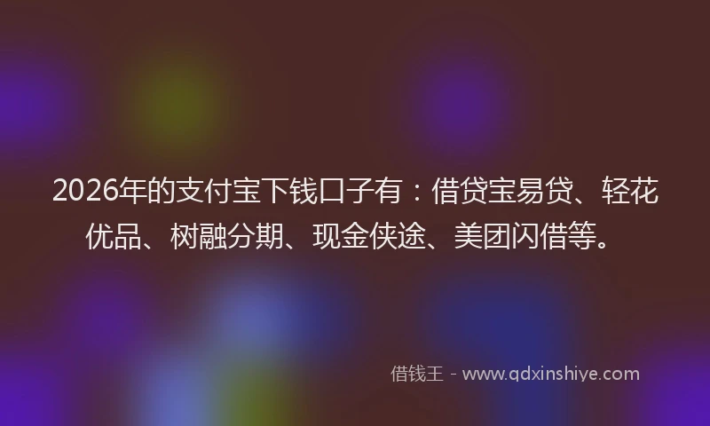 2026年的支付宝下钱口子有：借贷宝易贷、轻花优品、树融分期、现金侠途、美团闪借等。