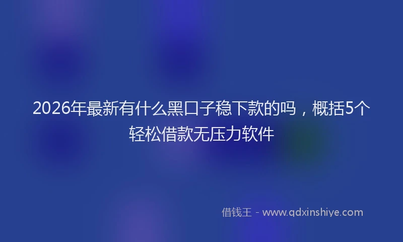 2026年最新有什么黑口子稳下款的吗，概括5个轻松借款无压力软件