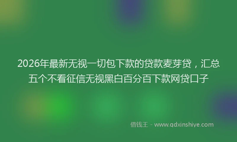 2026年最新无视一切包下款的贷款麦芽贷，汇总五个不看征信无视黑白百分百下款网贷口子