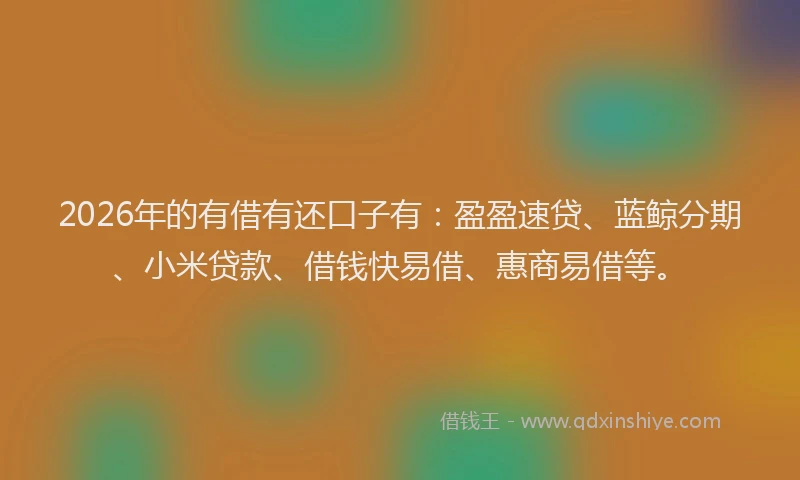 2026年的有借有还口子有：盈盈速贷、蓝鲸分期、小米贷款、借钱快易借、惠商易借等。
