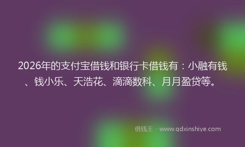 2026年的支付宝借钱和银行卡借钱有：小融有钱、钱小乐、天浩花、滴滴数科、月月盈贷等。