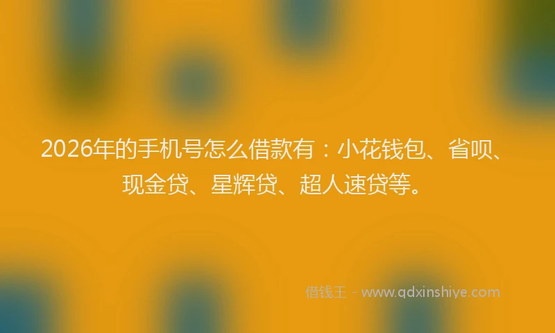 2026年的手机号怎么借款有：小花钱包、省呗、现金贷、星辉贷、超人速贷等。