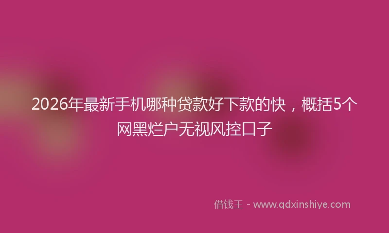 2026年最新手机哪种贷款好下款的快，概括5个网黑烂户无视风控口子