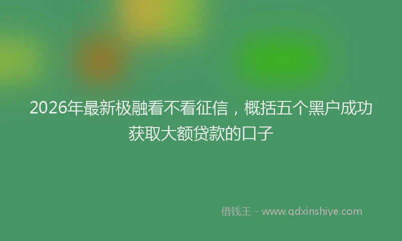 2026年最新极融看不看征信，概括五个黑户成功获取大额贷款的口子