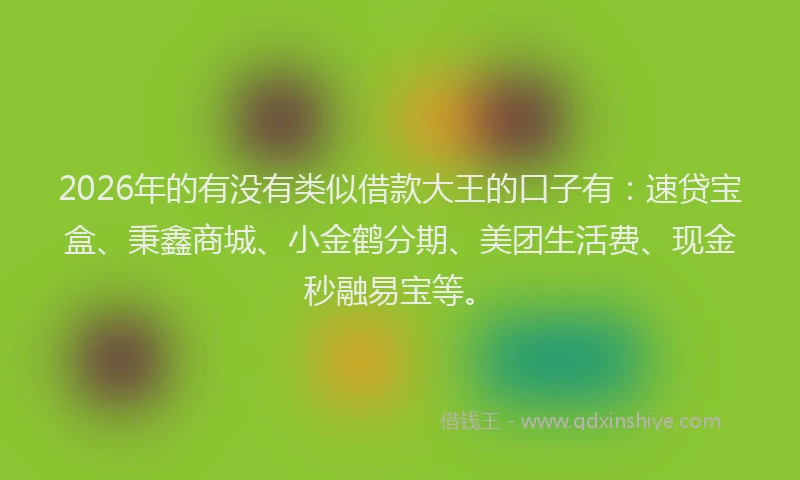 2026年的有没有类似借款大王的口子有：速贷宝盒、秉鑫商城、小金鹤分期、美团生活费、现金秒融易宝等。
