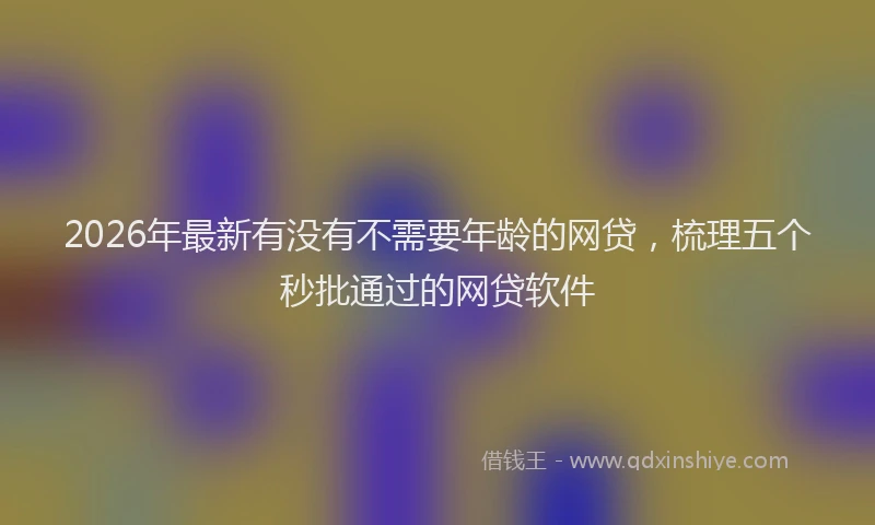 2026年最新有没有不需要年龄的网贷，梳理五个秒批通过的网贷软件