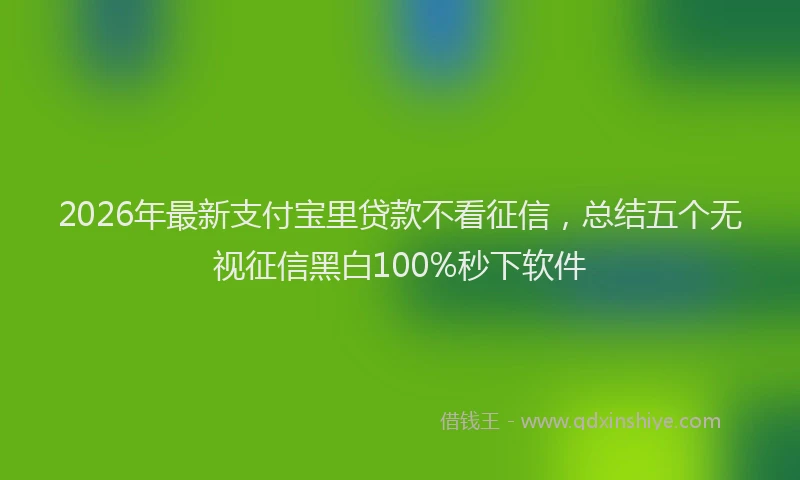 2026年最新支付宝里贷款不看征信，总结五个无视征信黑白100%秒下软件
