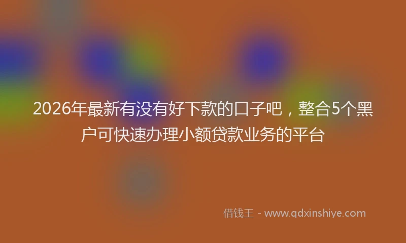 2026年最新有没有好下款的口子吧，整合5个黑户可快速办理小额贷款业务的平台