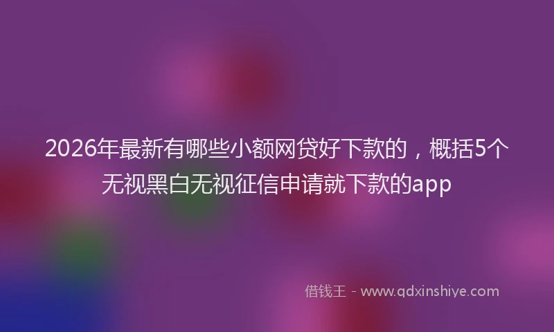 2026年最新有哪些小额网贷好下款的，概括5个无视黑白无视征信申请就下款的app