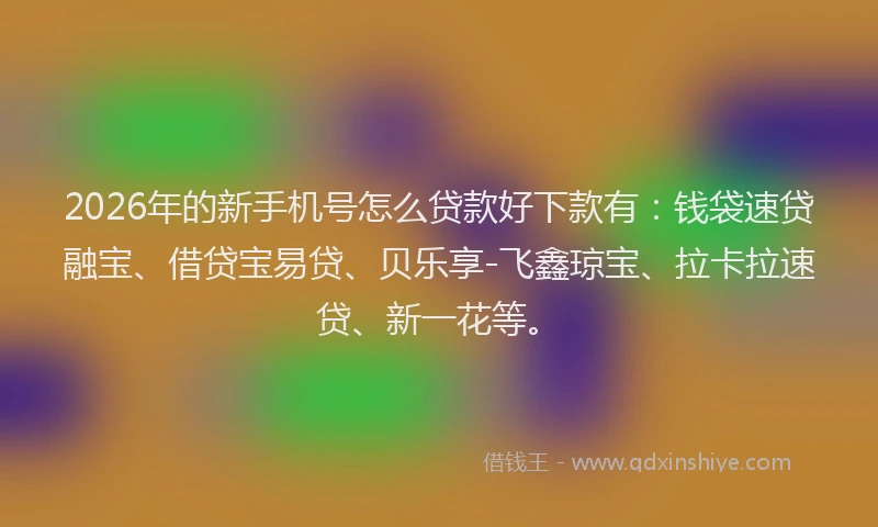 2026年的新手机号怎么贷款好下款有：钱袋速贷融宝、借贷宝易贷、贝乐享-飞鑫琼宝、拉卡拉速贷、新一花等。