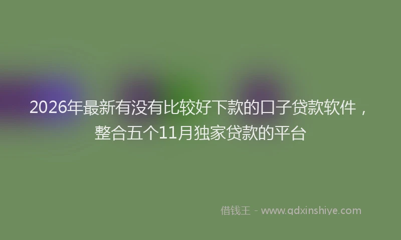 2026年最新有没有比较好下款的口子贷款软件，整合五个11月独家贷款的平台