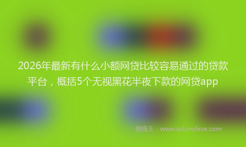 2026年最新有什么小额网贷比较容易通过的贷款平台，概括5个无视黑花半夜下款的网贷app