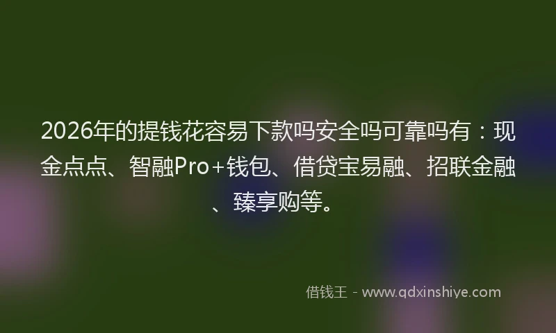 2026年的提钱花容易下款吗安全吗可靠吗有：现金点点、智融Pro+钱包、借贷宝易融、招联金融、臻享购等。