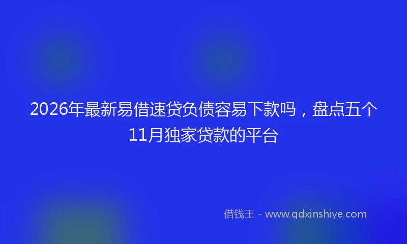 2026年最新易借速贷负债容易下款吗，盘点五个11月独家贷款的平台
