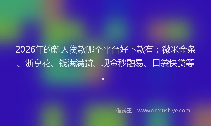 2026年的新人贷款哪个平台好下款有：微米金条、浙享花、钱满满贷、现金秒融易、口袋快贷等。