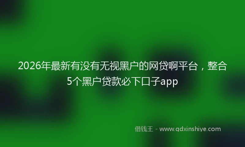 2026年最新有没有无视黑户的网贷啊平台，整合5个黑户贷款必下口子app