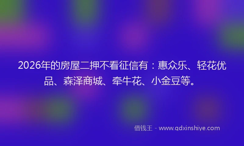 2026年的房屋二押不看征信有：惠众乐、轻花优品、森泽商城、牵牛花、小金豆等。