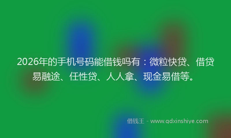 2026年的手机号码能借钱吗有：微粒快贷、借贷易融途、任性贷、人人拿、现金易借等。