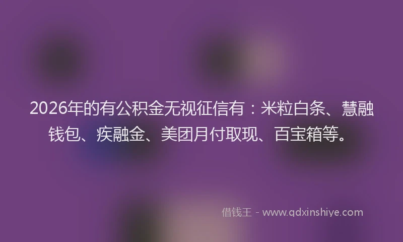 2026年的有公积金无视征信有：米粒白条、慧融钱包、疾融金、美团月付取现、百宝箱等。