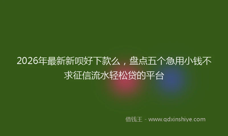 2026年最新新呗好下款么，盘点五个急用小钱不求征信流水轻松贷的平台