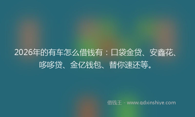2026年的有车怎么借钱有：口袋金贷、安鑫花、哆哆贷、金亿钱包、替你速还等。