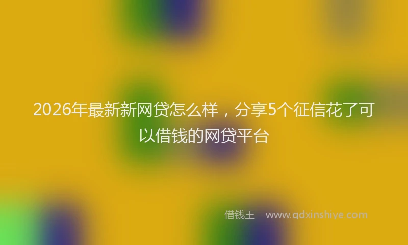 2026年最新新网贷怎么样，分享5个征信花了可以借钱的网贷平台