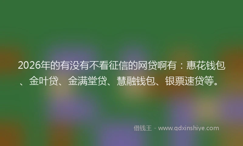 2026年的有没有不看征信的网贷啊有：惠花钱包、金叶贷、金满堂贷、慧融钱包、银票速贷等。
