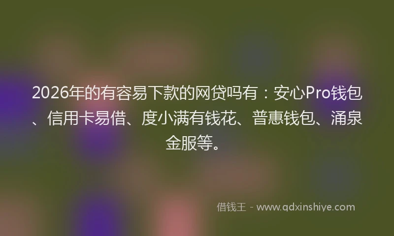 2026年的有容易下款的网贷吗有：安心Pro钱包、信用卡易借、度小满有钱花、普惠钱包、涌泉金服等。