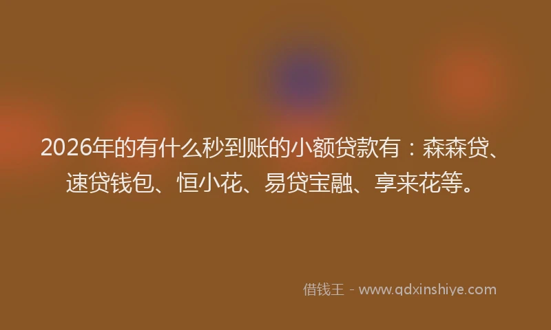 2026年的有什么秒到账的小额贷款有：森森贷、速贷钱包、恒小花、易贷宝融、享来花等。