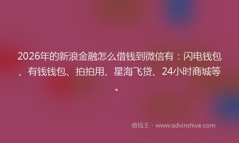 2026年的新浪金融怎么借钱到微信有：闪电钱包、有钱钱包、拍拍用、星海飞贷、24小时商城等。