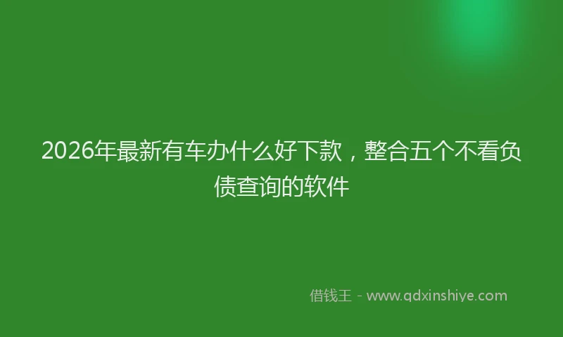 2026年最新有车办什么好下款，整合五个不看负债查询的软件