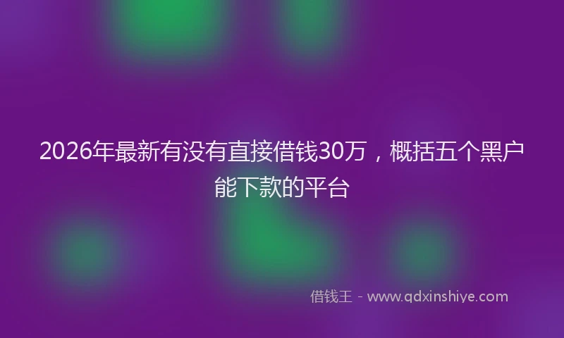 2026年最新有没有直接借钱30万，概括五个黑户能下款的平台