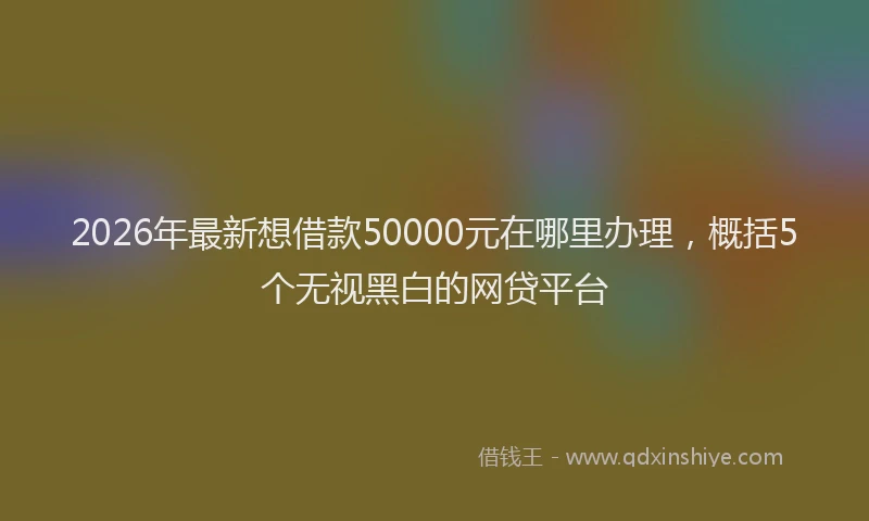 2026年最新想借款50000元在哪里办理，概括5个无视黑白的网贷平台