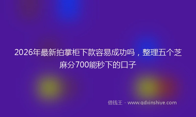 2026年最新拍掌柜下款容易成功吗，整理五个芝麻分700能秒下的口子