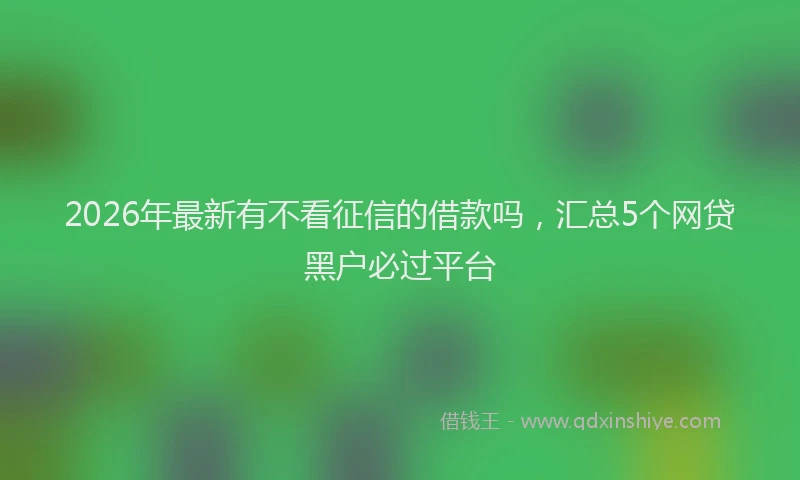 2026年最新有不看征信的借款吗，汇总5个网贷黑户必过平台