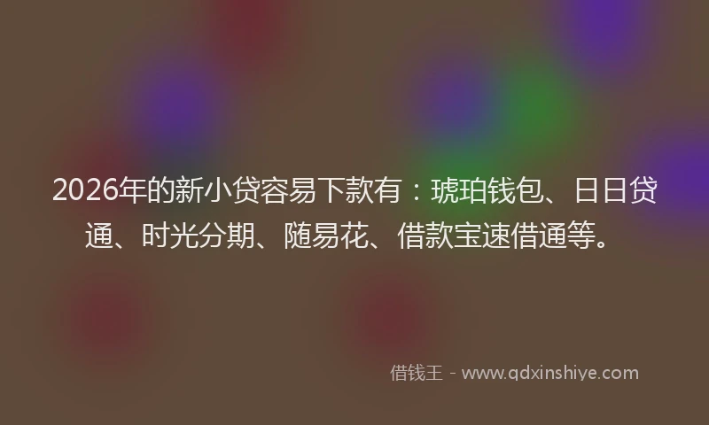 2026年的新小贷容易下款有：琥珀钱包、日日贷通、时光分期、随易花、借款宝速借通等。