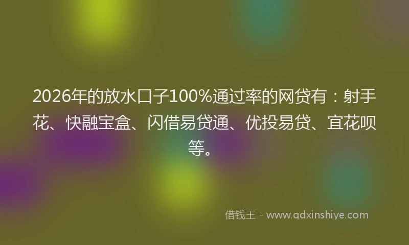 2026年的放水口子100%通过率的网贷有：射手花、快融宝盒、闪借易贷通、优投易贷、宜花呗等。