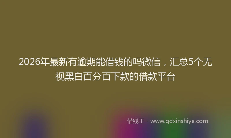 2026年最新有逾期能借钱的吗微信，汇总5个无视黑白百分百下款的借款平台