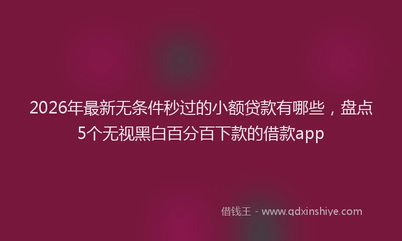 2026年最新无条件秒过的小额贷款有哪些，盘点5个无视黑白百分百下款的借款app