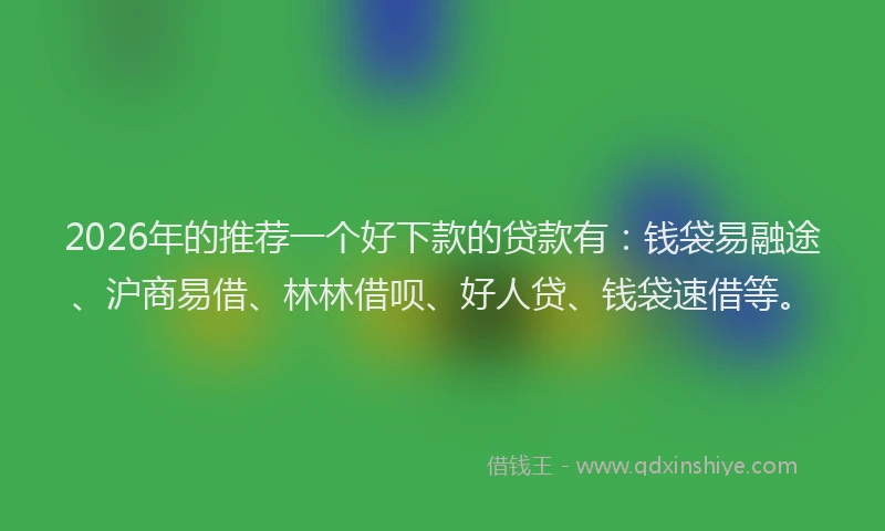 2026年的推荐一个好下款的贷款有：钱袋易融途、沪商易借、林林借呗、好人贷、钱袋速借等。