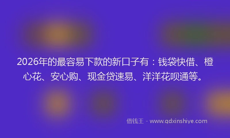 2026年的最容易下款的新口子有：钱袋快借、橙心花、安心购、现金贷速易、洋洋花呗通等。