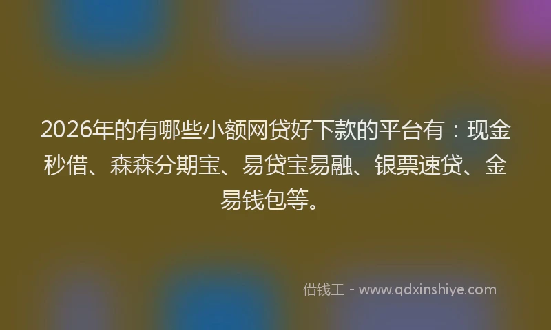 2026年的有哪些小额网贷好下款的平台有：现金秒借、森森分期宝、易贷宝易融、银票速贷、金易钱包等。