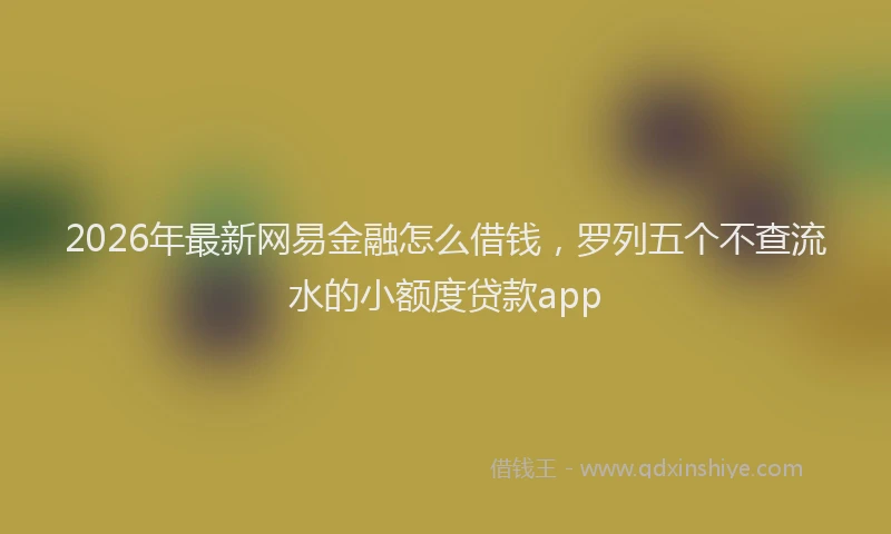 2026年最新网易金融怎么借钱，罗列五个不查流水的小额度贷款app