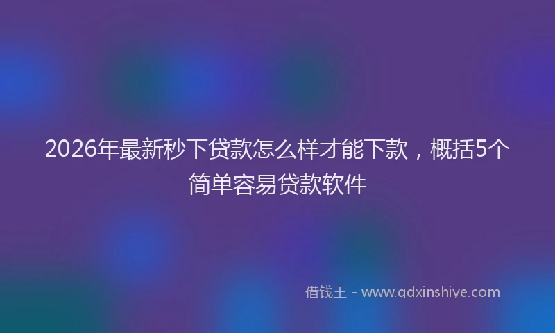 2026年最新秒下贷款怎么样才能下款，概括5个简单容易贷款软件