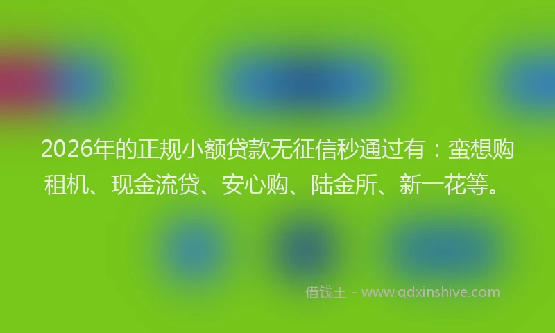 2026年的正规小额贷款无征信秒通过有：蛮想购租机、现金流贷、安心购、陆金所、新一花等。