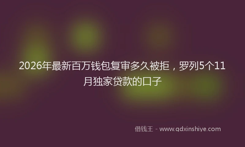 2026年最新百万钱包复审多久被拒，罗列5个11月独家贷款的口子
