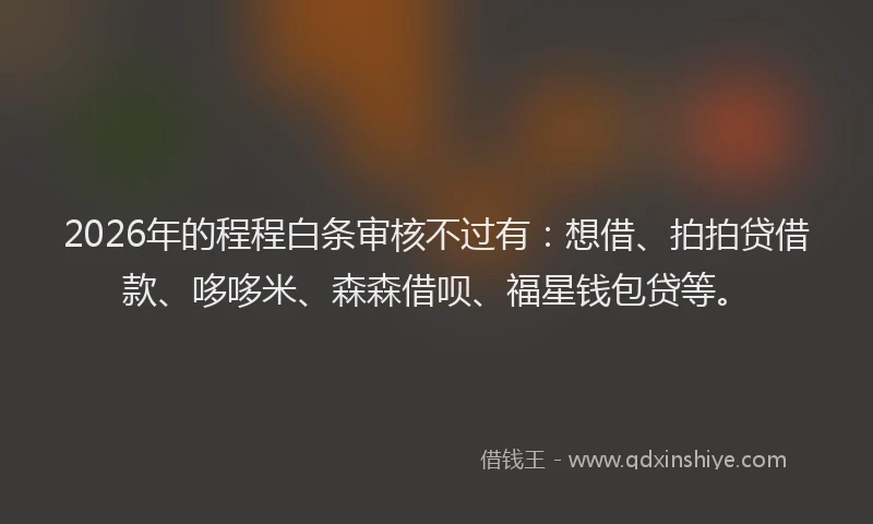 2026年的程程白条审核不过有：想借、拍拍贷借款、哆哆米、森森借呗、福星钱包贷等。