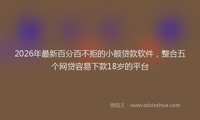 2026年最新百分百不拒的小额贷款软件，整合五个网贷容易下款18岁的平台